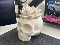 Macetero de Calavera para Suculentas | Decoración Gótica de Escritorio - Modelo de impresión 3D gratuito