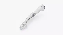 Cyborg female arm 3D model