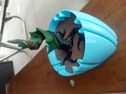 Potting Soil