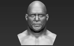 Stone Cold Steve Austin bust 3D printing ready stl obj
