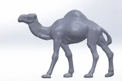 Arabian Camel
