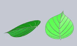 Leaf