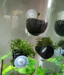 Aquarium Tunnels