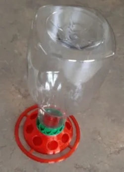 Bird Feeder