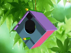 Bird Houses