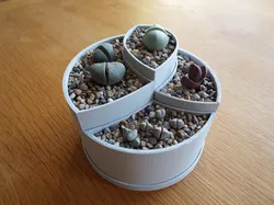 Curved segment pot with tray