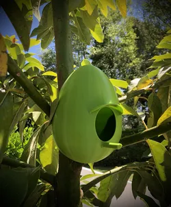 Easter Egg Bird Tree House Avocado