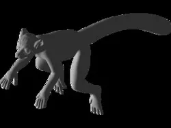 Lemur