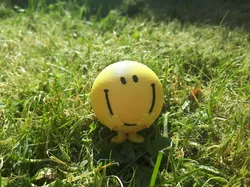 Mr. Happy from Mr Men books