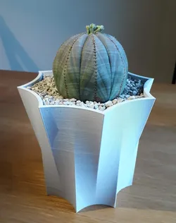 Octopot - Octagonal Rounded Plant Pot