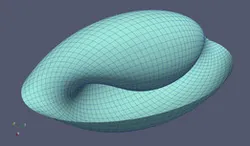 Sea Shell