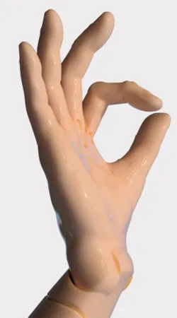 Adam's hand