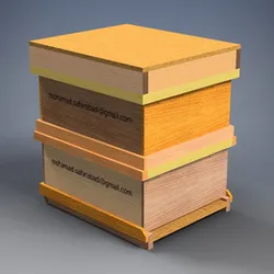 American Langstroth Beehive