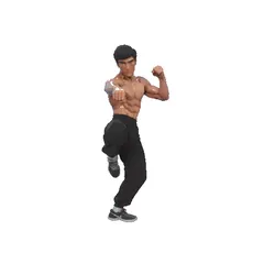 Bruce lee