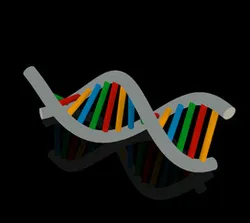 DNA Strand