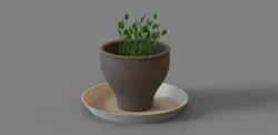 flower pot