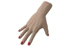 Hand.  Export from 3DMax to Solidworks