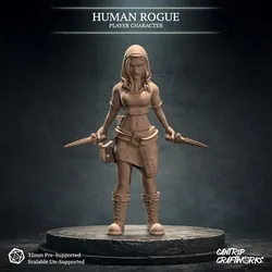 Human Rogue - Cantrip Craftworks