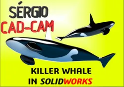 Killer Whale - Orca- Sérgio CAD CAM