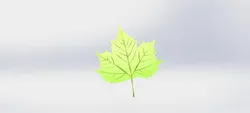 LEAF