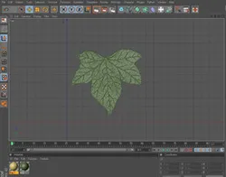 Leaf