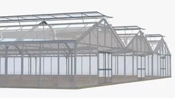 Multi-Span Greenhouse With Soil Beds 3D model