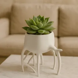 Organic Root-Leg Planter – Modern Sculptural Succulent Pot