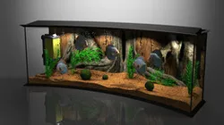 Panoramic Aqua Tank
