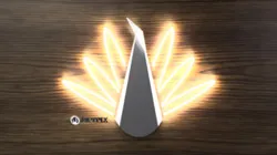 Peacock Light Fixture