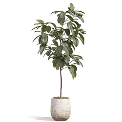 Plant 1340 3D model
