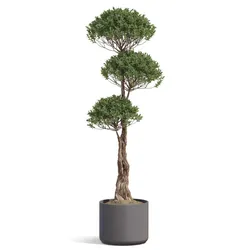 Plant 1347 3D model