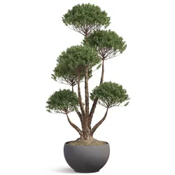 Plant 1348 3D model