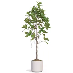 Plant 1358 3D model