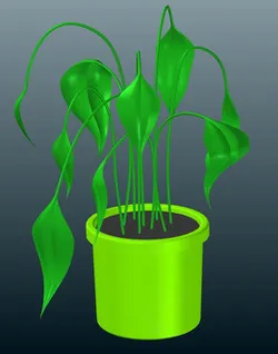 plant in pot