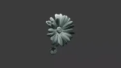rose flower 3D model
