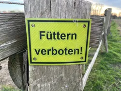 Schild "Füttern verboten!" für Weide oder Stall