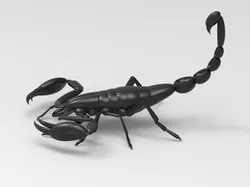 scorpion