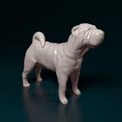 Shar pei