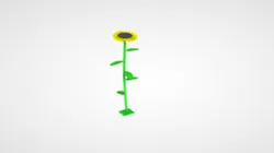 Sunflower rainwater