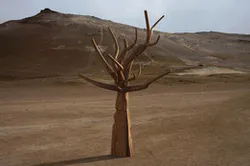 tree