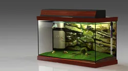 Aquarium (Tropical)