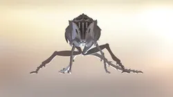 Fire ant, insect, ant, bug, 3d model, puzzle, sheetmetal, metalcraftdesign