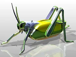 Grasshopper
