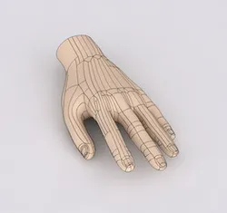 HUMAN HAND