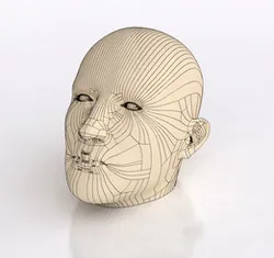 Human Head