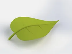Leaf