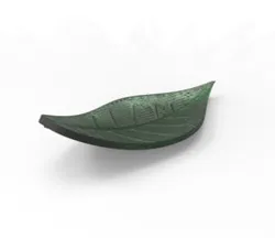 Leaf