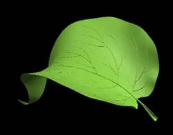 Leaf