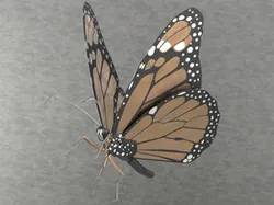 Monarch Butterfly created in PARTsolutions