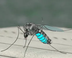 Mosquito Killer Robot created in PARTsolutions
